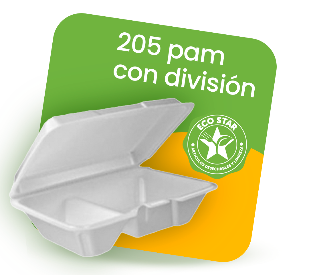 205 PAM CON DIVISION-1