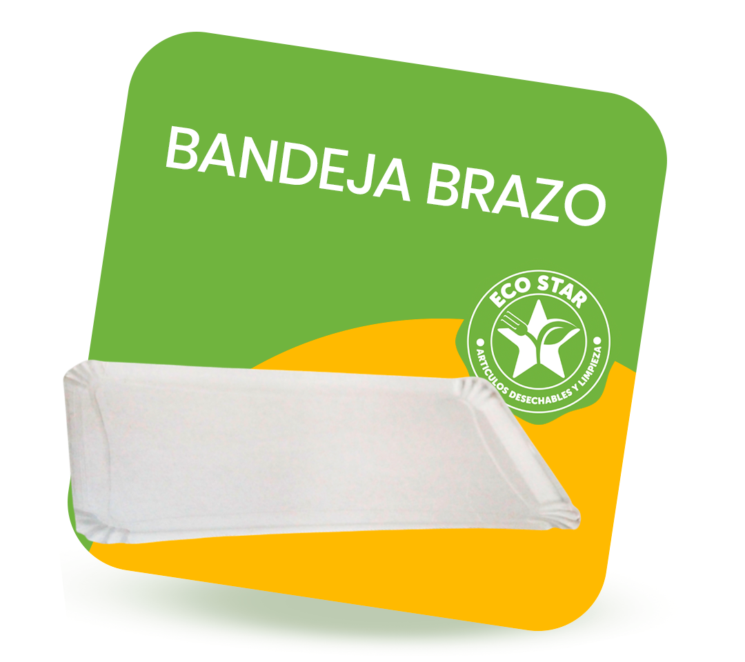 BANDEJA RECTANGULAR N°3_FGR